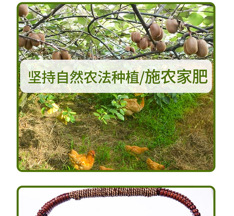 详情14.jpg