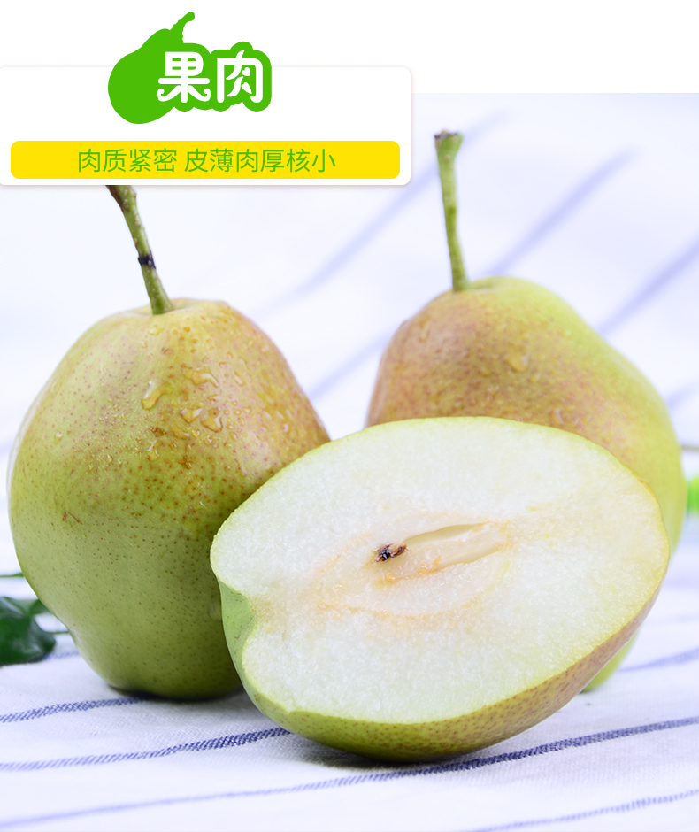 详情6.jpg